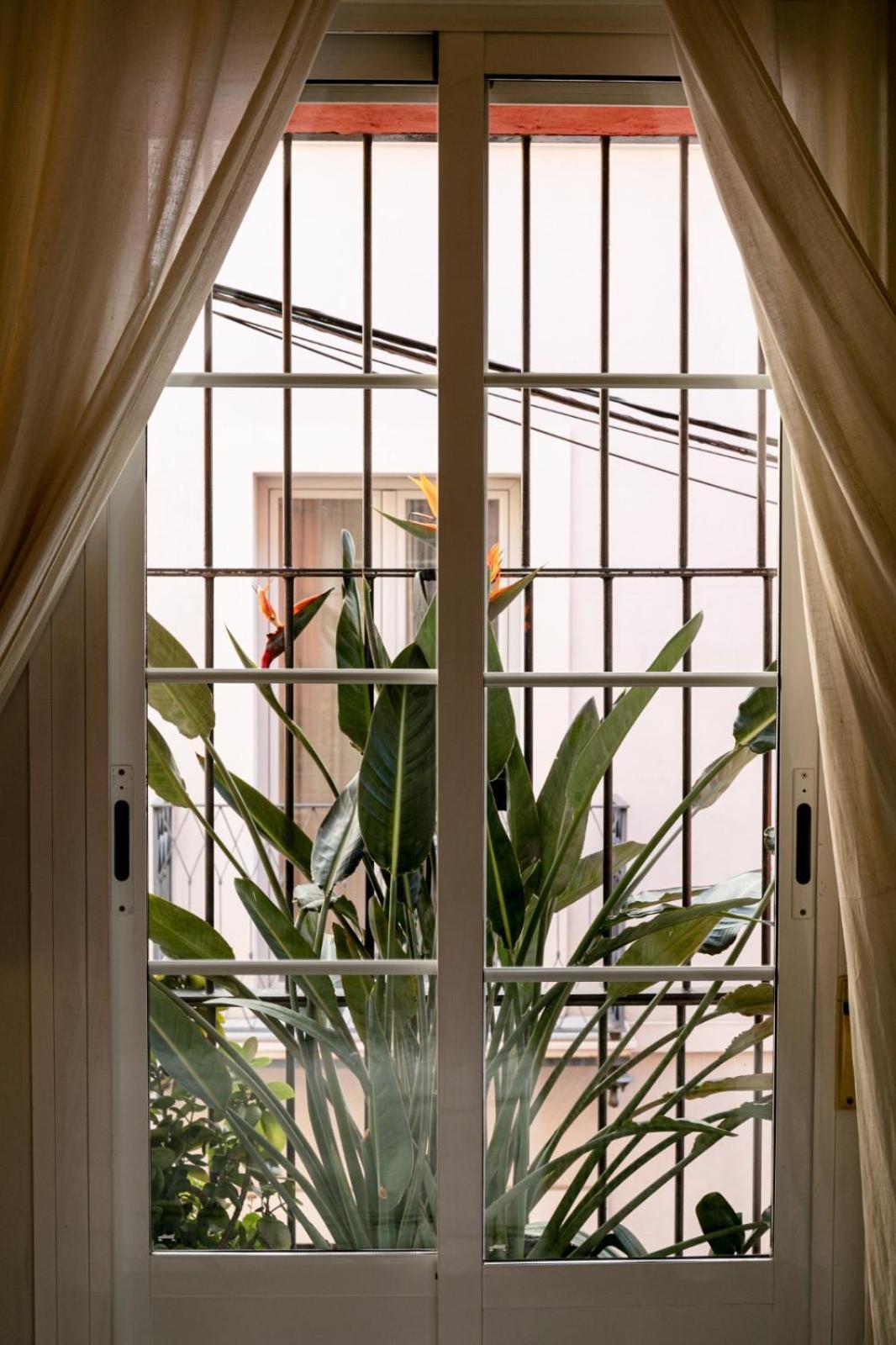 Gotoseville San Bernardo Appartement